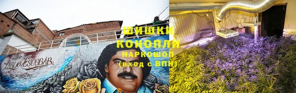 ешки Каменногорск