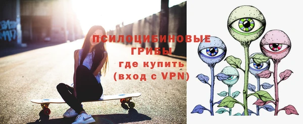 ешки Каменногорск