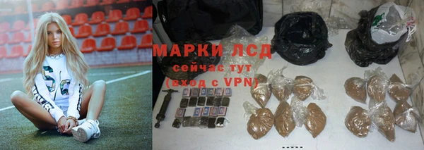 ПСИЛОЦИБИНОВЫЕ ГРИБЫ Карталы